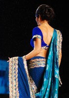 Shriya Saree Images